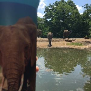 Meet your Posher, Mallory